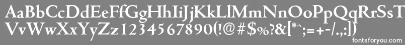 フォントCambridgeserialBold – 灰色の背景に白い文字