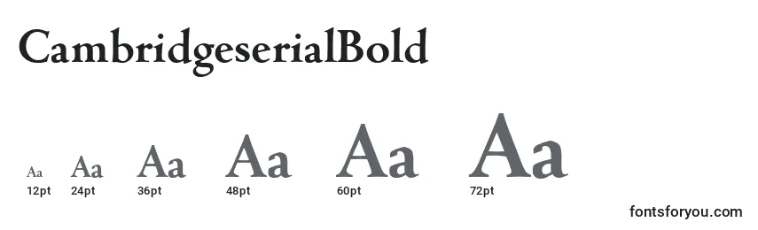 CambridgeserialBold Font Sizes