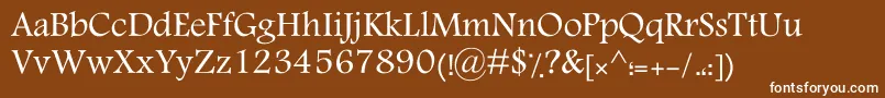 MotkenKTraffic Font – White Fonts on Brown Background