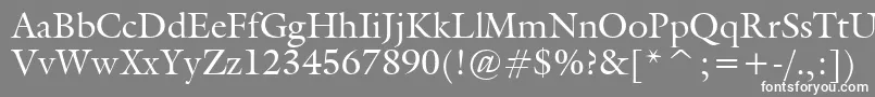 Gallery Font – White Fonts on Gray Background