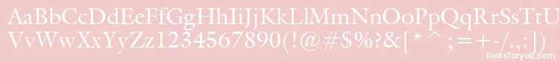 Gallery Font – White Fonts on Pink Background
