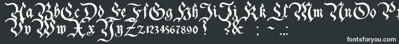 CharterwellBold Font – White Fonts