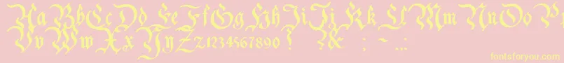 CharterwellBold-Schriftart – Gelbe Schriften auf rosa Hintergrund