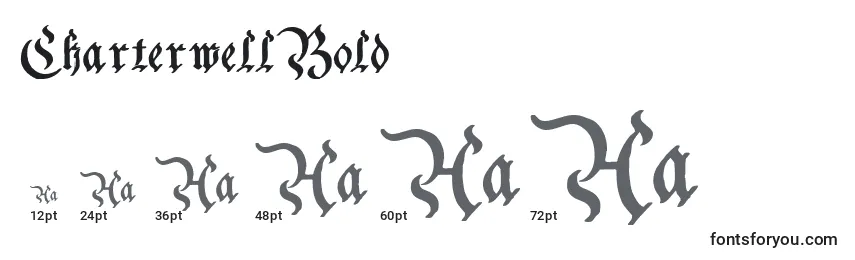 CharterwellBold Font Sizes