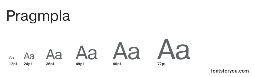Размеры шрифта Pragmpla