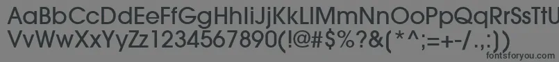 TrendexLightSsiMedium Font – Black Fonts on Gray Background