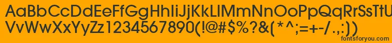 TrendexLightSsiMedium Font – Black Fonts on Orange Background