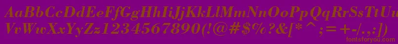 BodoniBoldItalicBt Font – Brown Fonts on Purple Background