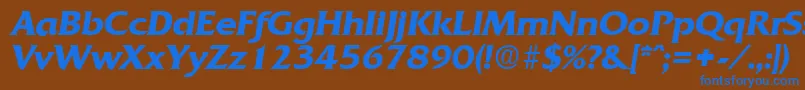 QuadratDemiboldita Font – Blue Fonts on Brown Background