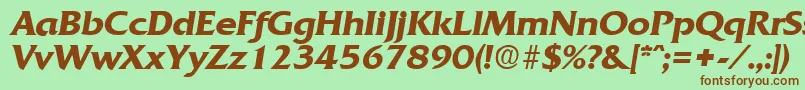 QuadratDemiboldita Font – Brown Fonts on Green Background
