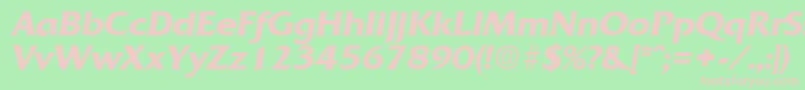 QuadratDemiboldita Font – Pink Fonts on Green Background