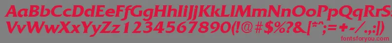 QuadratDemiboldita-Schriftart – Rote Schriften auf grauem Hintergrund