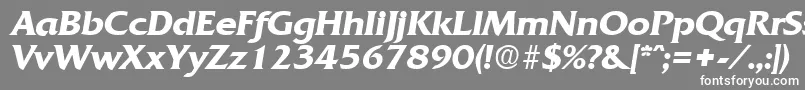 QuadratDemiboldita Font – White Fonts on Gray Background