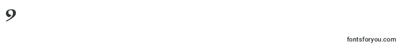 Fitapoluustavc Font – Fonts for Digit 9
