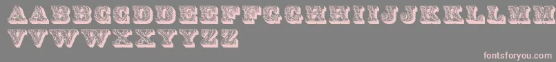 Lettres Font – Pink Fonts on Gray Background