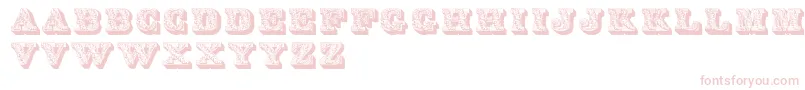 Lettres Font – Pink Fonts on White Background
