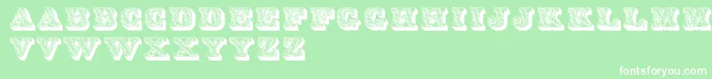Lettres Font – White Fonts on Green Background