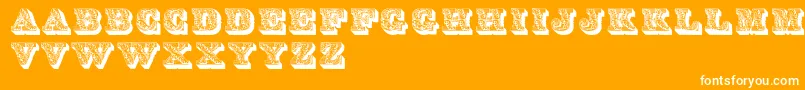 Lettres Font – White Fonts on Orange Background