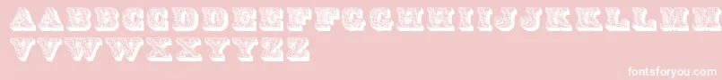 Lettres Font – White Fonts on Pink Background