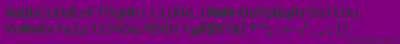 SvbasicmanualBold Font – Black Fonts on Purple Background