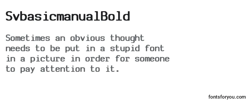 Review of the SvbasicmanualBold Font
