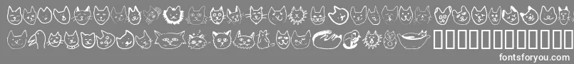 Linufa Font – White Fonts on Gray Background