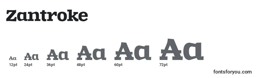 Размеры шрифта Zantroke