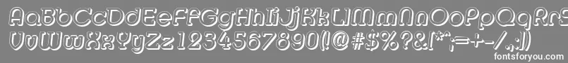 MexicoshadowItalic Font – White Fonts on Gray Background