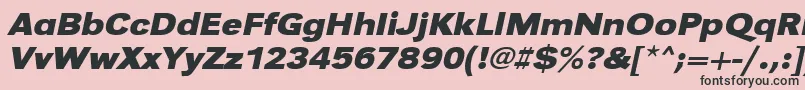 フォントUrwgrotesktextwidBoldOblique – ピンクの背景に黒い文字
