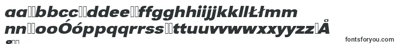UrwgrotesktextwidBoldOblique Font – Polish Fonts