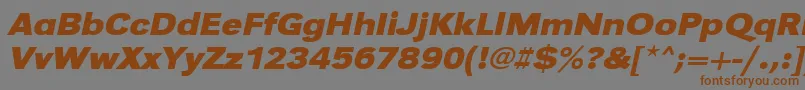Weitere Informationen zur UrwgrotesktextwidBoldOblique-Schriftart UrwgrotesktextwidBoldOblique-Schriftart – Braune Schriften auf grauem Hintergrund