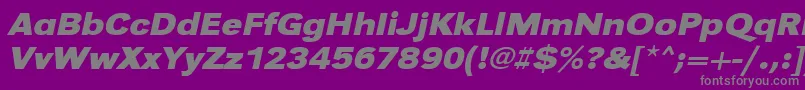 Police UrwgrotesktextwidBoldOblique – polices grises sur fond violet