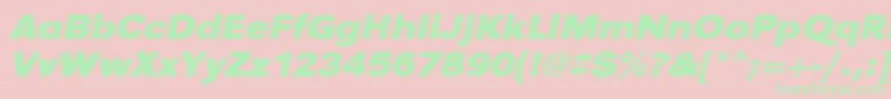 フォントUrwgrotesktextwidBoldOblique – ピンクの背景に緑の文字