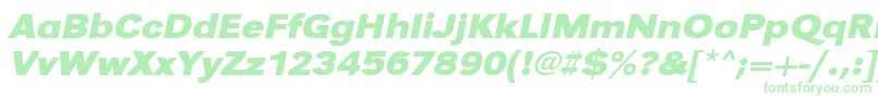 UrwgrotesktextwidBoldOblique Font – Green Fonts on White Background