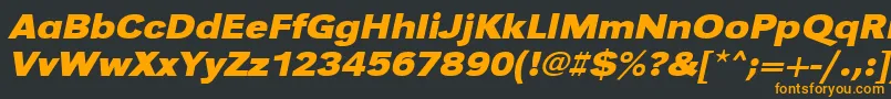 UrwgrotesktextwidBoldOblique Font – Orange Fonts on Black Background