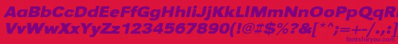 UrwgrotesktextwidBoldOblique Font – Purple Fonts on Red Background