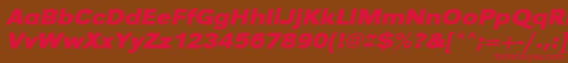 UrwgrotesktextwidBoldOblique Font – Red Fonts on Brown Background