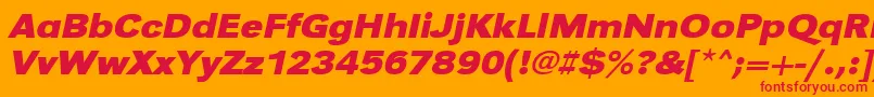 UrwgrotesktextwidBoldOblique Font – Red Fonts on Orange Background