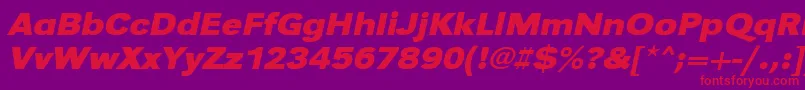 UrwgrotesktextwidBoldOblique Font – Red Fonts on Purple Background