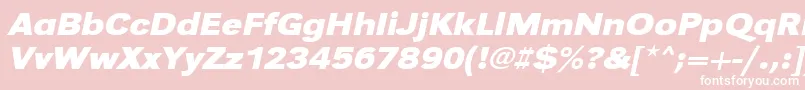 UrwgrotesktextwidBoldOblique Font – White Fonts on Pink Background