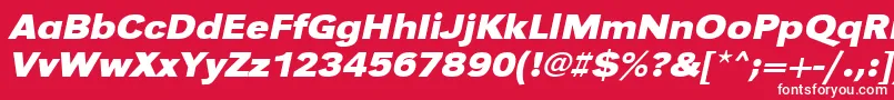 UrwgrotesktextwidBoldOblique Font – White Fonts on Red Background