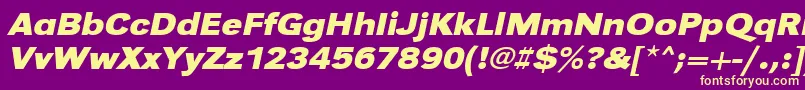 UrwgrotesktextwidBoldOblique Font – Yellow Fonts on Purple Background