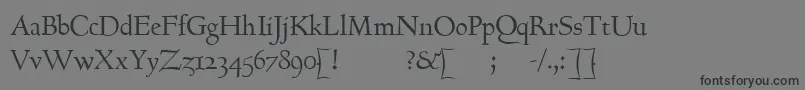 GoundyhundredItalic Font – Black Fonts on Gray Background