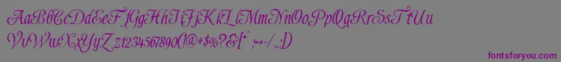 Shardee Font – Purple Fonts on Gray Background