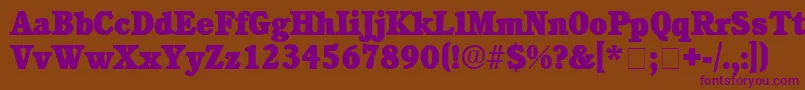 ChoreaDisplaySsiBlack Font – Purple Fonts on Brown Background