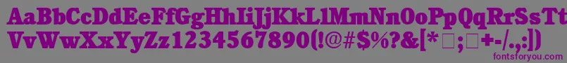 ChoreaDisplaySsiBlack Font – Purple Fonts on Gray Background