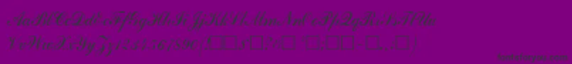 Commercialscript3 Font – Black Fonts on Purple Background