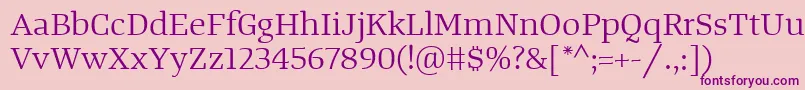 TangerserifwideBook Font – Purple Fonts on Pink Background