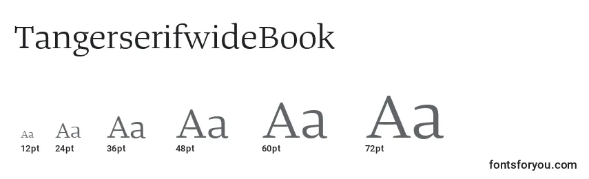 Размеры шрифта TangerserifwideBook