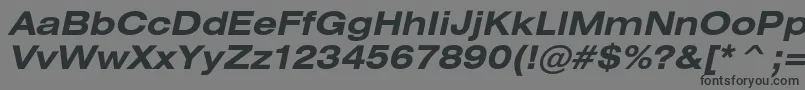 HeliosextBoldItalic-fontti – mustat fontit harmaalla taustalla
